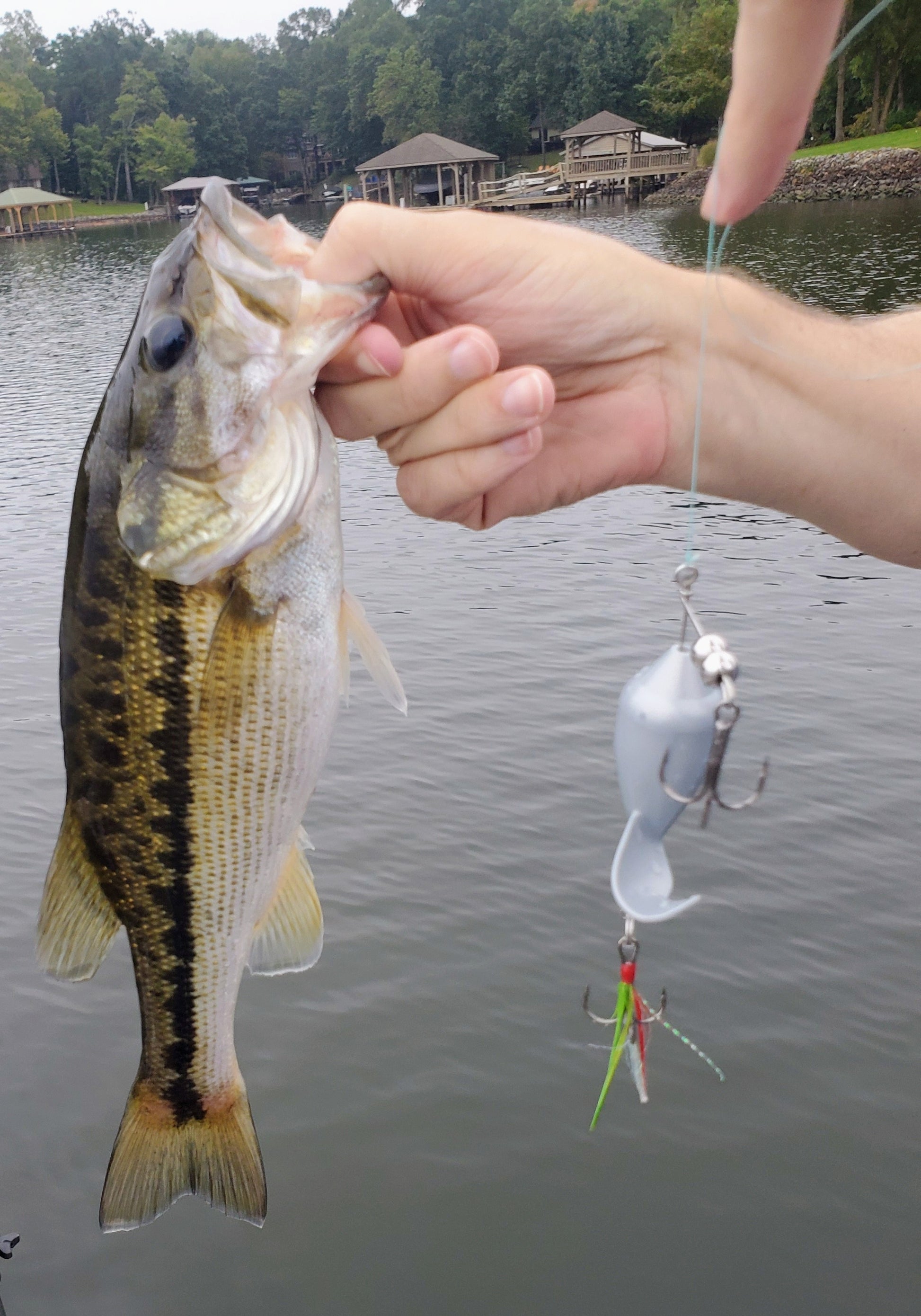 Mini-B Shad Top Water