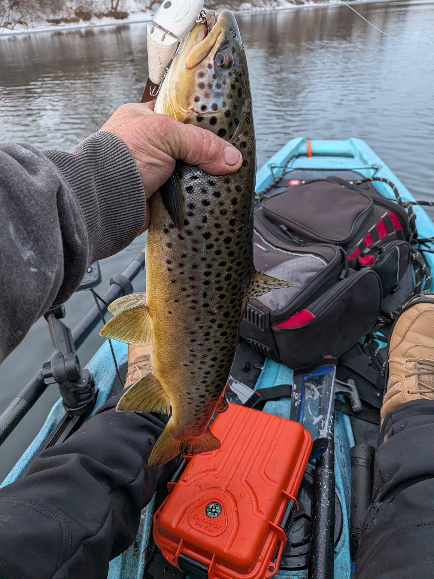 Glide Bait