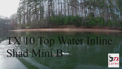 Mini-B Shad Top Water