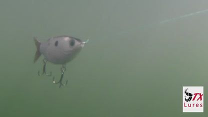 Glide Bait